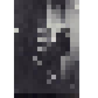 Фотография. Райкин А.И., Райкина Е.А., неизвестные