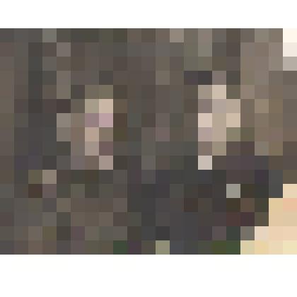 Фотография Зяблова Михаила Семеновича (справа)