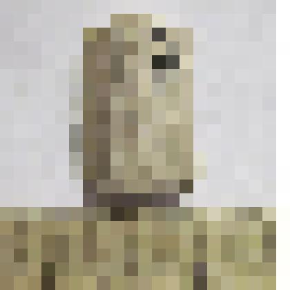 Первичная пластина