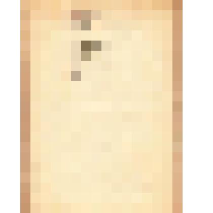 Поздравление. Автор неизвестен. Адресат: Кассиль Лев Абрамович, г. Москва - г. Москва. Машинопись