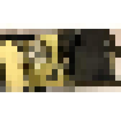 Газоанализатор ПГА-ДУМ в футляре с ремнем