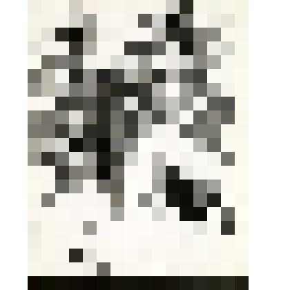 Зверь в городе