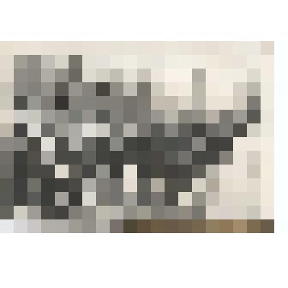 Фотография. Демонстрация 9 Мая в п. Сосновское