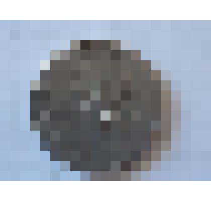 Монета 10 злотых