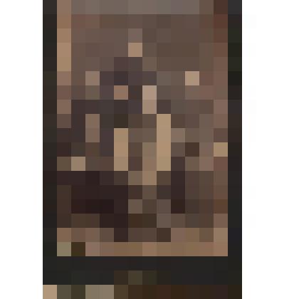 Фотография. "Представители Енисейского купечества XIX века"