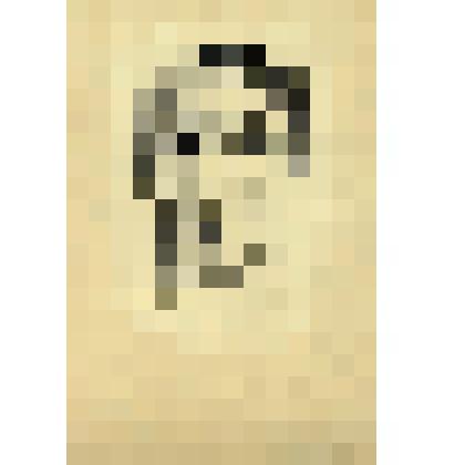 Портрет Николая Церетели. 1922(?)