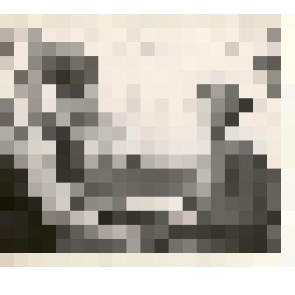 Фотография: праздник урожая на станции юннатов в г.Камень-на-Оби. Северюхина Надежда, работник горкома ВЛКСМ, вручает юннату почетную грамоту за хорошую работу