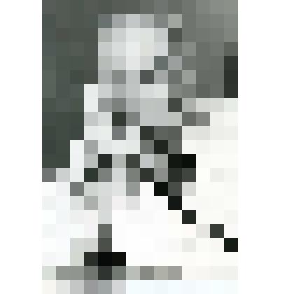 Фотография. Заслуженный врач РСФСР Шапиро И.В