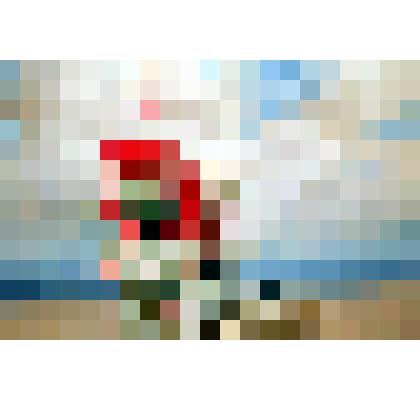 Картина. Гравицапа. Объект № 1