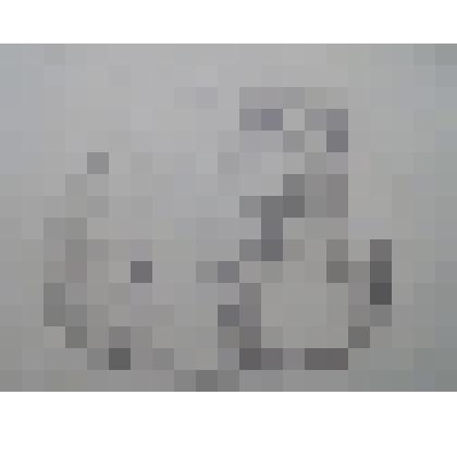 "Енотик сидит"