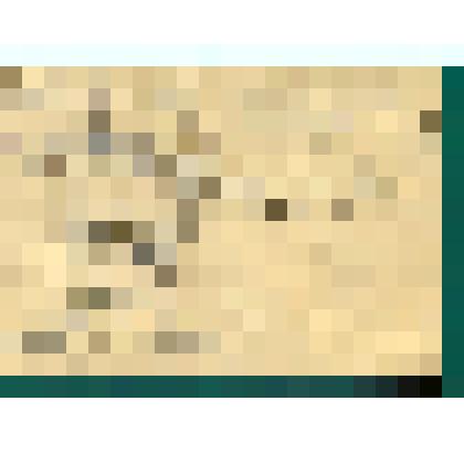 Автопортрет. Графика