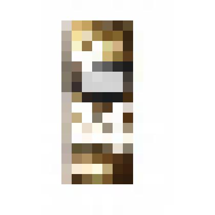 Панель лицевая сменная для мобильного телефона tellit A77