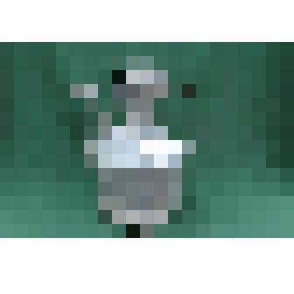 Кумган татарский