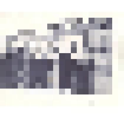 Фотография: юные следопыты школы №8 устанавливают портрет Героя Советского Союза Федотова В.Н. на портретную галерею г.Камня-на-Оби Алтайского края