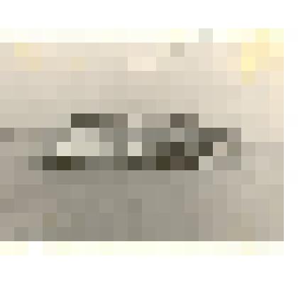 Фотография: пароход "Барнаул" на реке Обь в районе г.Камень-на-Оби