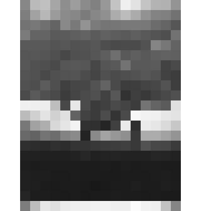 Фотография. Океанолог-аквалангист исследует подводную часть торосов. Дрейф. станция "СП-22"