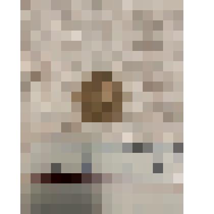 Монета номиналом 1 копейка