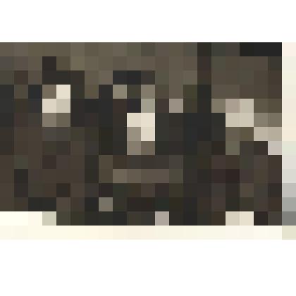 Фотографии. Фото. Шушеначев И.В. (в третьем ряду первый справа) и первые секретари КПСС Штыгашев В.Н., Плисов В.В., Филатова Е.Ф