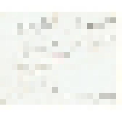 Письмо Археологической комиссии Енисейскому губернатору с объяснением, какие предметы древности должны отсылаться на её рассмотрение. Копия