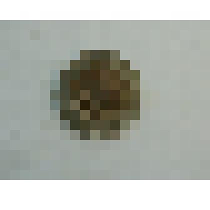 Монета "50 рублей"