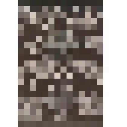 Иллюстрация. Таблица № 86. Выпуск "17-18".
 Из комплекта  таблиц "Красота форм в природе"