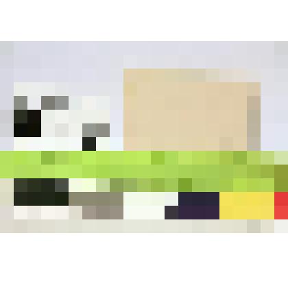 Визитная карточка Л.Н.Толстого