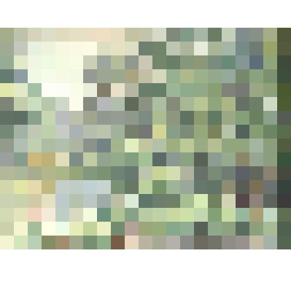 Лесная речка