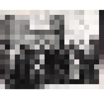 Фото: «Родственники и друзья поэта Л. В. Кокышева на митинге по открытию мемориальной доски на доме, где жил поэт»