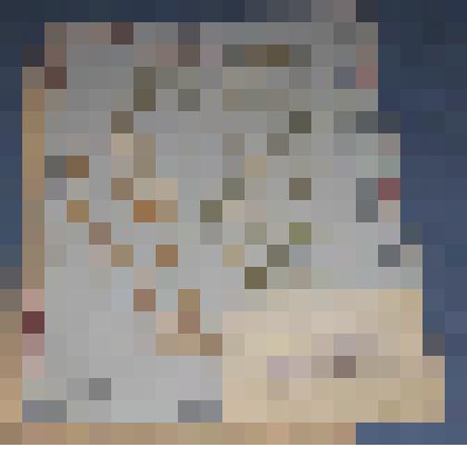 Ботаническая коллекция. Звездчатка, семейство гвоздичные, на гербарном листе, на севере от села Григорьевка в кустарнике. Caruophyllaceae  Stellaria