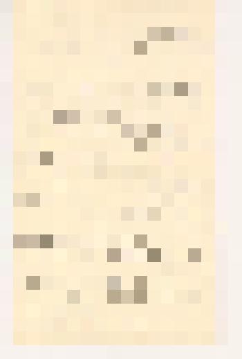 Ю.Н. Рерих. Письмо