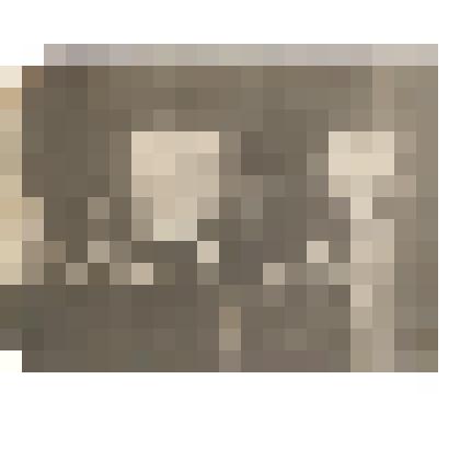 Фотография. Выборы в Верховный Совет СССР, Горьковская обл. Сосновский район д. Рагозино, 1937г