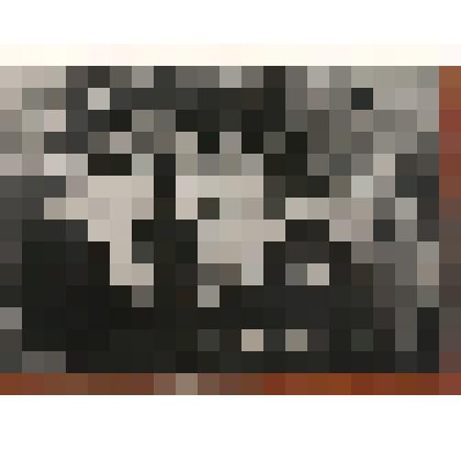 Учащиеся бывшего высшего начального училища Колывани 1917 год ( в настоящее время Колыванская средняя школа № 2).Фотография