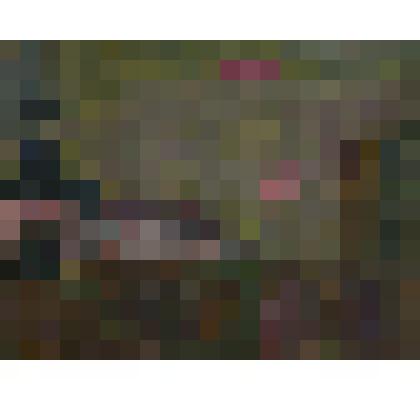 Пейзаж «Ферапонтов монастырь»