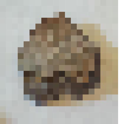 Фрагмент венчика сосуда