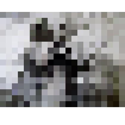 Фотография в рост, групповая. А. Хомченко с друзьями