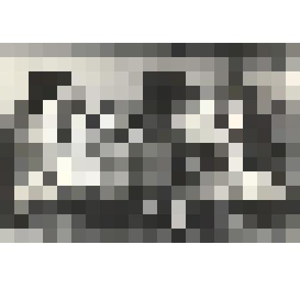 Фотография. Коллектив племфермы Нестюково (Конзавод № 9)