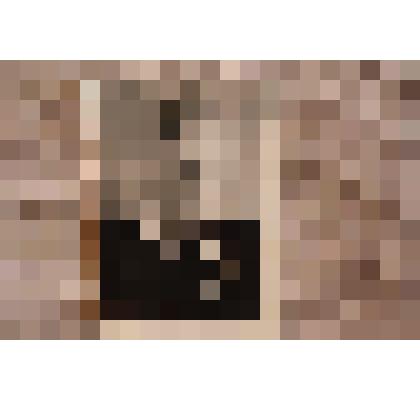 Фотография Борташевич А. Г