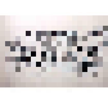 Диапозитив. Техникум. (181)