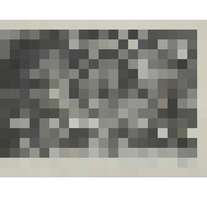 В Ереванских садах