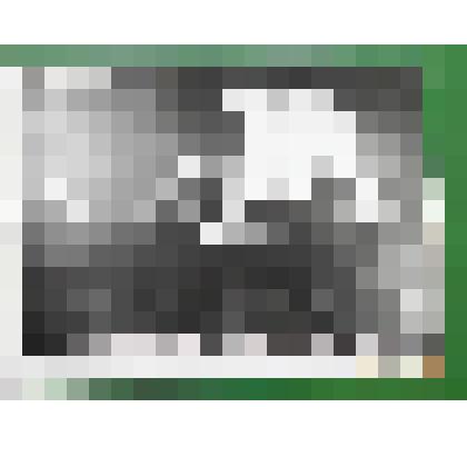 Фотография. Президиум Спасской райпартконференции