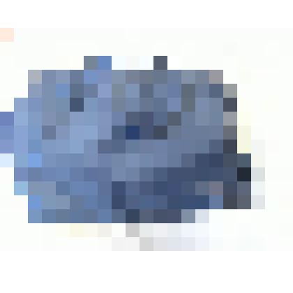 Сумка переписчика Всероссийской сельскохозяйственной переписи 2016 г