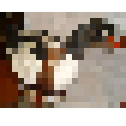 Чучело. Пеганка