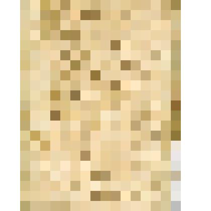 Подшивка  документов  Сольвычегодского  Введенского  монастыря