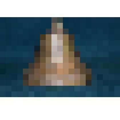 Колокольчик поддужный