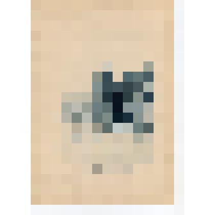 Лист. Скала у Георгиевского монастыря. Из альбома "Виды г. Севастополя и Окрестностей"