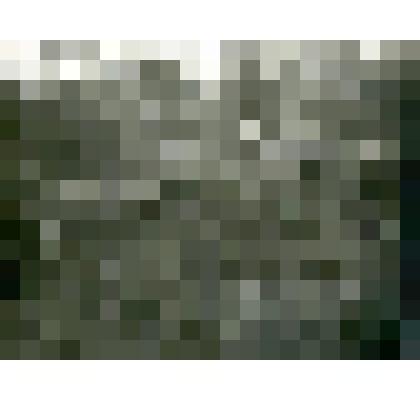 Фотография. Кладбище на р. Урак