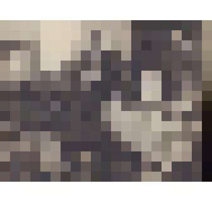 Фотография. Поляновский М.Л., Гриценко И., Дубинина Е.Т., Кассиль Л.А., Дубинина В