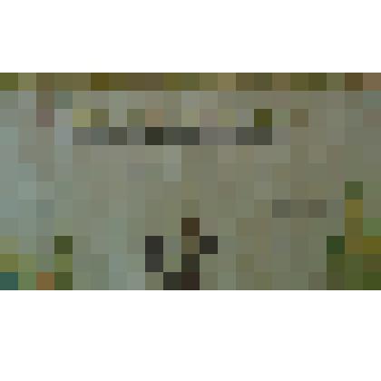 свидетельство №19563