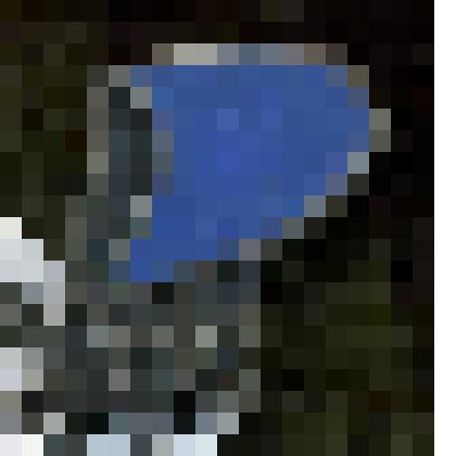 Значок "PIRITA"