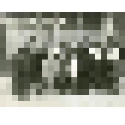 Фотография чёрно-белая. Работники Комсомольского ЛПХ, награждённые орденами и медалями СССР